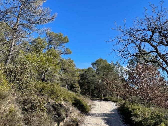 Hiking in  Provence